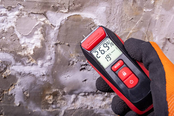 Best Mold Cleaning Services  in Crawfordville, FL