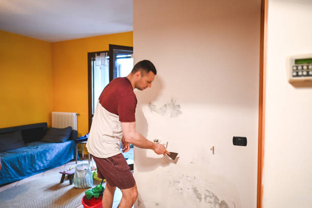 Best Toxic Mold Removal  in Crawfordville, FL